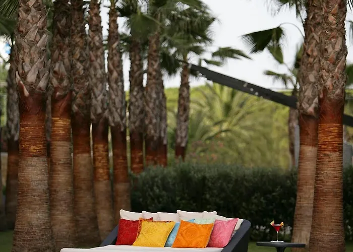 Senator Banus Adults Only Recommended