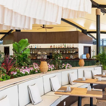 Senator Banus Adults Only Recommended 5*